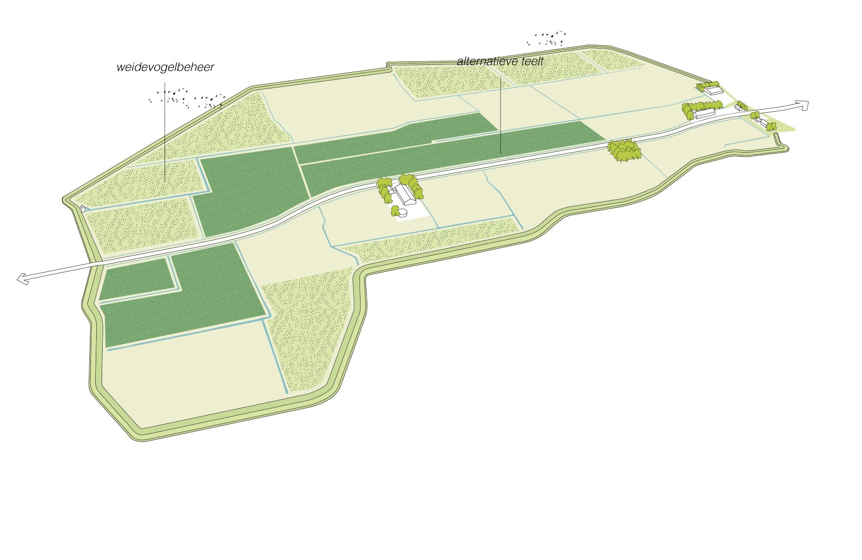 Illustratie van landschap met peilverhoging op lage, natte delen in combinatie met alternatieve teelt en of weidevogelbeheer